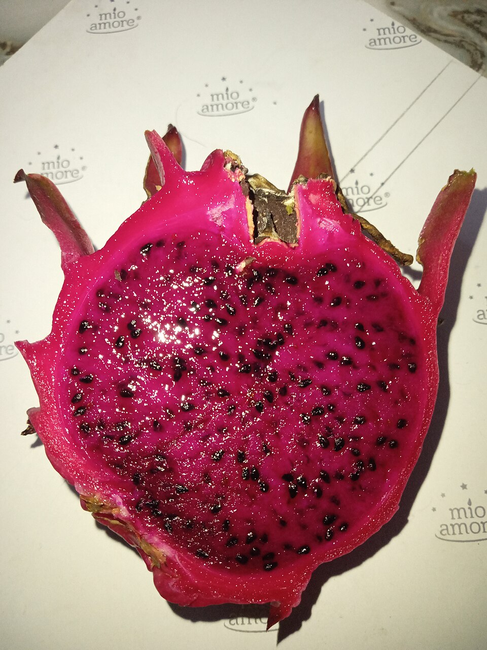 Exotic dragon fruit — Latino Cold Chain premium produce